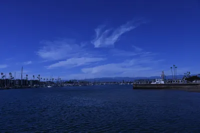 DSC_0809 (Large).JPG